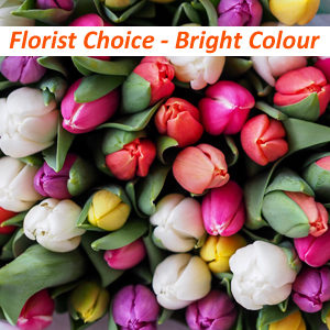 Florist Choice Bright