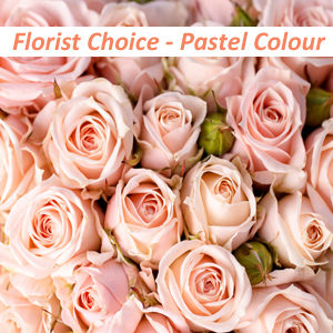 florist choice pastel