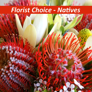 Florist Choice - Native
